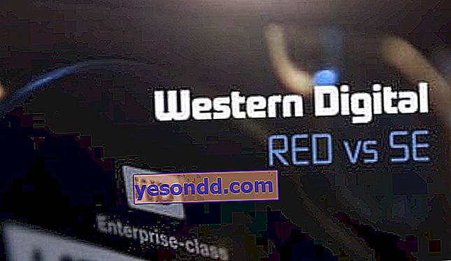 disque zhestkiy western numérique