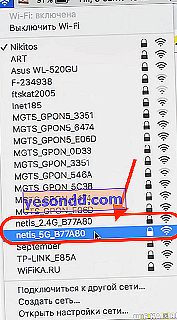 réseau netis wifi